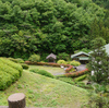 初夏の旧城川町探鳥会