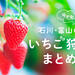 【石川・富山】2026年最新！いちご狩りスポット10選　甘くておいしい 大粒いちごが食べ放題♡