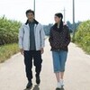 映画感想「旅立ちの島唄〜十五の春〜」「箱入り息子の恋」