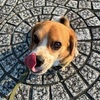まだまだサマータイム