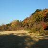 秋の名残を探しに～俣野別邸と別邸公園～