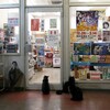 徳島線蔵本駅待合室で出会う猫