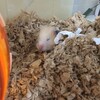 みそあん291日目