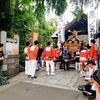  つきじ獅子祭　宮入