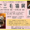 そして三毛猫展！