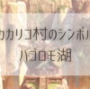 【BotW考察】カカリコ村のシンボル　ハゴロモ湖