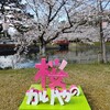 亀城公園の桜（刈谷市）