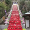 かつうらビッグひな祭り