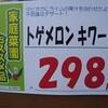 キワーノの育て方　２０１１　その１