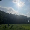 8月9日　制作するのに、ゾーンに入りたい。
