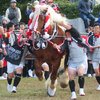 南部鉄器マン・八代妙見祭・追い馬-2