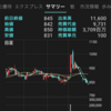 【投資】コロナ禍の株式投資！！天国と地獄・・・。ジェットコースターばりの1年でしたがな。。