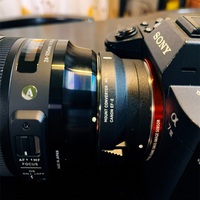 一方SONY αは…