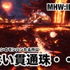 出ない貫通珠・・・〜 MHW:IB #034