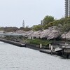 2021年の花見　その3　堀川