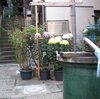本郷の菊坂を散歩（11月8日）