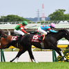 東京競馬場 第56回フローラステークス(GII) クールキャット C.ルメール騎手