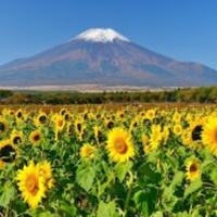 nagano_rのtest