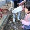 こども動物自然公園へ