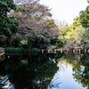 野鳥の島