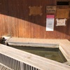 宮城県鳴子温泉峡の足湯•手湯を堪能しました