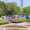 植物園の春まつり　＆　なんじゃもんじゃのき　　(=^・^=)それぞれ