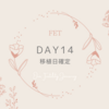 DAY14 移植日確定~HCG注射後の体調