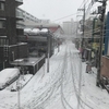 雪が