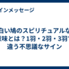 白い鳩のスピリチュアルな意味とは？1羽・2羽・3羽で違う不思議なサイン