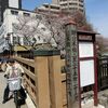 再びの中山道歩く　　板橋宿～浦和宿　２