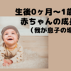 生後0ヶ月から1歳までの赤ちゃんの成長記録ブログ（我が息子の場合）