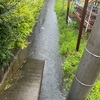 田んぼが減ると水害が増えます。