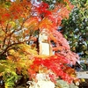 京都ぶらり　本日の一枚　南禅寺