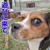 恐怖の大魔王がやって来た