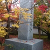 京都 　　紅葉狩り　２０１８