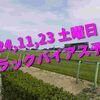 2024,11,23 土曜日 トラックバイアス予想 (東京競馬場　京都競馬場)