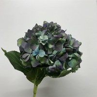 アジサイ 万華鏡 のドライフラワー はなめも 花屋のメモ帳 アジサイ 万華鏡 のドライフラワー はなめも 花屋のメモ帳