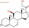 Tính chất dược lý và Hình thức hoạt động của Hydrocortisone
