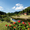 山形県村山市：東沢バラ公園バラまつり2019