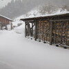 今冬最後の積雪？　と　五輪女子選手の快挙！！