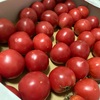 トマトでケチャップ作り🍅✨