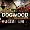まだまでボルダリング初心者だけど「DOGWOOD 調布」で検定課題に挑戦！