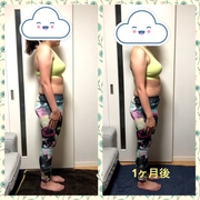 ダイエット カテゴリーの記事一覧 ワト子んとこ