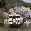 桜 日田彦山線 呼野駅－採銅所駅間