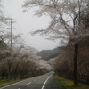 3月30日のブログ「寺尾の千本桜へ、都市計画審議会から答申受領、関YEGから絵本寄付受領、ラグビー意見交換会」