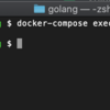 Dockerコンテナでgolang