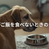 【Q&A】老犬がご飯を食べないときの原因と対処法｜総合ケアサプリ「毎日一緒」も紹介