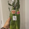 お題に挑戦！