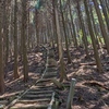 ダイヤモンドトレイル　二上山～葛城山