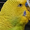 ７月９日の相場を見てみたよ　チュン